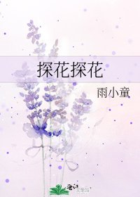 探花探花